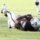 Justin Tuck clutches the ball after intercepting a Peyton Manning pass. (Photo: Tony Gonzales/Oakland Raiders)